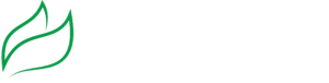 Basilico Tradizionale Italiano